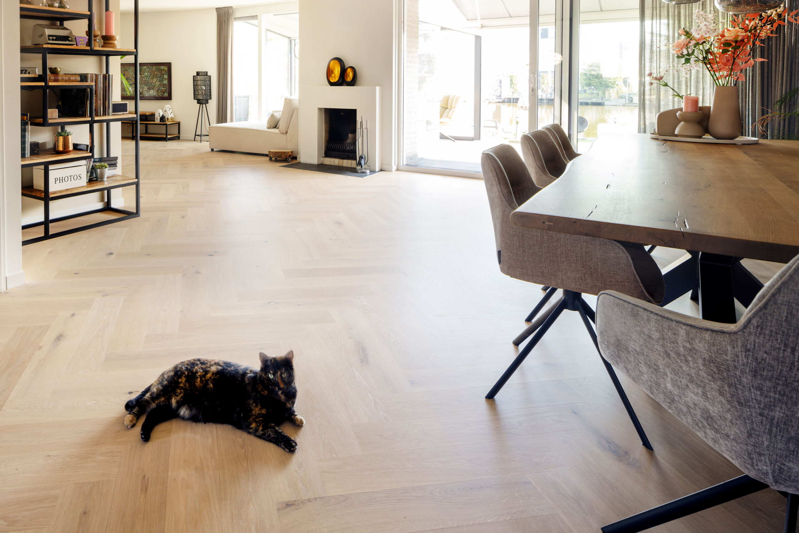Eiken visgraat parketvloer met kat in woonkamer, parket gelegd op elektrische vloerverwarming